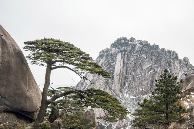 全国十大游客喜爱的景点旅游攻略