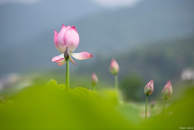 保持热爱生活，人生会有很多美好