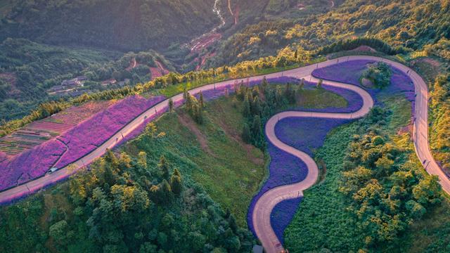 世外乡村·海子山国家森林康养基地，避暑胜地