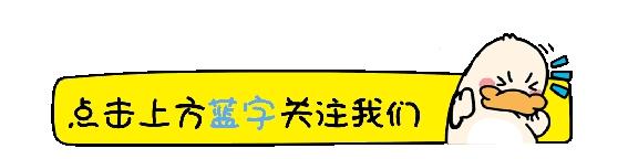 王楚钦霸气回应！乒坛绯闻终结？粉丝反应出人意料