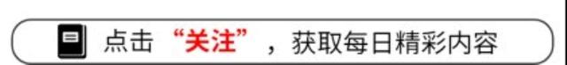 张本智和兄妹回日本 表示不认四川祖籍 令人失望