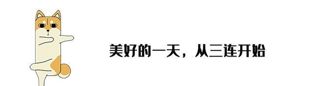 奥运金牌榜：中国队重回榜首，日本第 2 韩国暴跌 4 位，美国破防